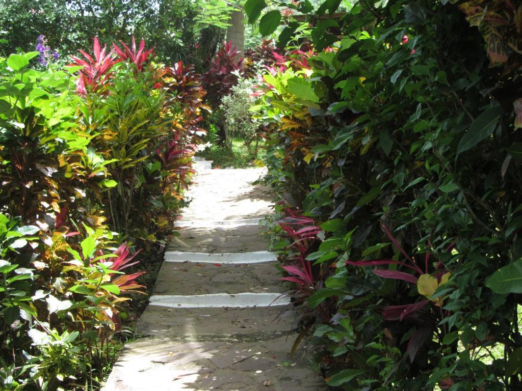 Hibiscus Valley Inn Marigot Room photo